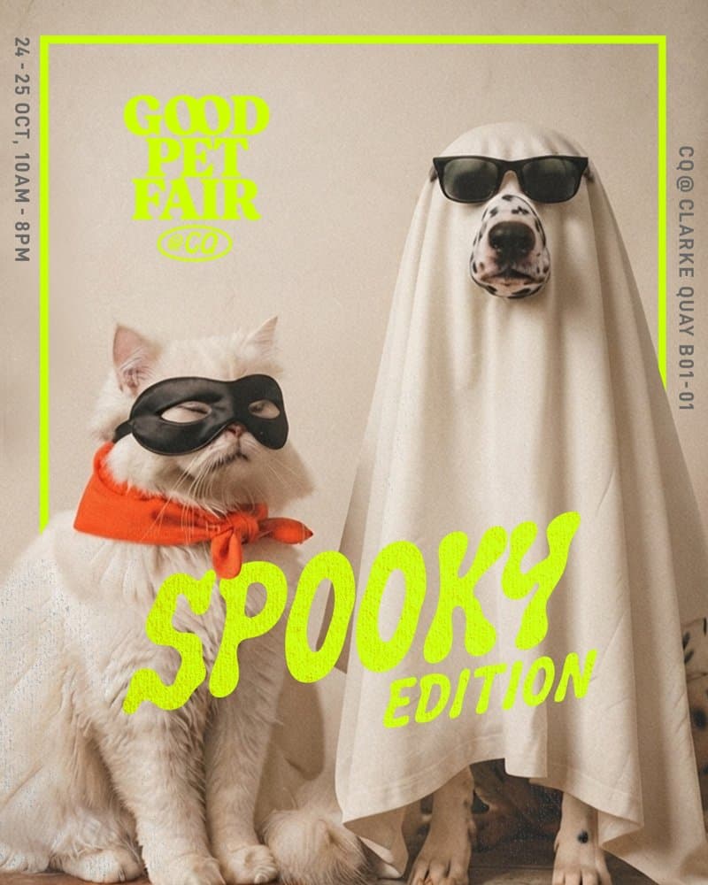 Good Pet Fair: Spooky Edition poster